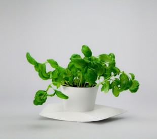 awesome-design-ideas-Herb-Pots-Packaging-Henry-Roberts-Felicitas-Ohnesorge-1