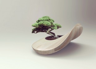 awesome-design-ideas-Baransu-balance-plant-aarish-netarwala