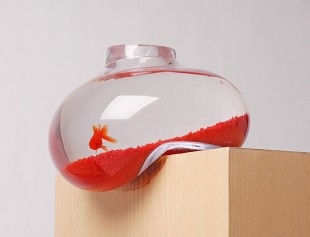 awesome-design-ideas-Balancing-Fishbowl-Psalt-1